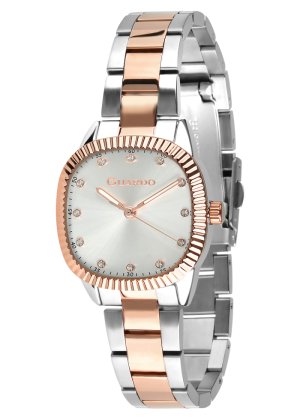 Damski zegarek Guardo Premium 012731-5